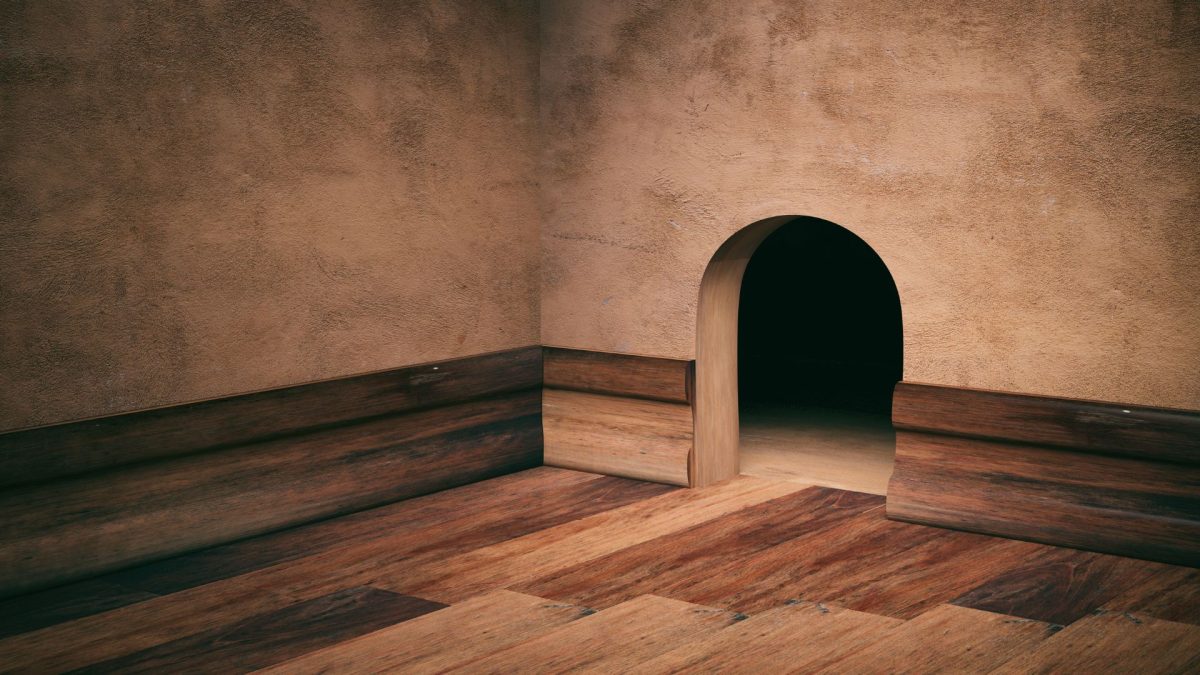 How to Get Rid of Rodents in Your Walls Missouri Homeowner’s Guide